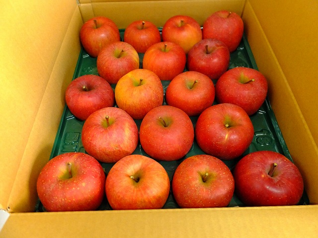 農家直送信州山ノ内産家庭用ふじりんご　5キロ、10キロ