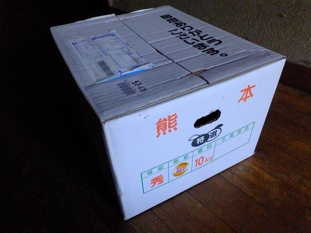 熊本直送の10キロ箱　約40個入り