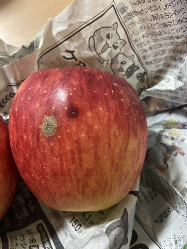 りんご黒星病とカメムシ被害